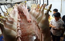 Cả xã hội cùng chống thực phẩm bẩn