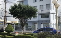 Tạm đình chỉ giám đốc chi nhánh điện bổ nhiệm vợ sai quy định