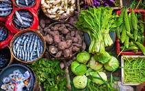 Dinh dưỡng phòng chống lão hóa