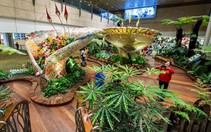 Bên trong sân bay tốt nhất thế giới Changi
