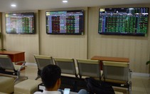 Tỉ phú thép 'bốc hơi' 78 triệu đô khi VN Index mất 28 điểm