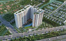 Vượt tiến độ xây dựng, Jamila kiến tạo tiêu chuẩn mới!