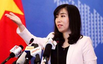 Việt Nam quan ngại về tình hình hiện tại ở Syria