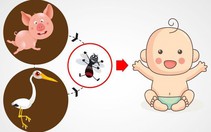 Viêm não Nhật Bản thường gây tử vong cao