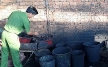 Sản xuất cà phê bột từ vỏ cà phê trộn... pin Con Ó
