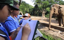 Lo thon thót khi con đi dã ngoại