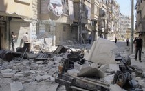 LHQ họp bất thường về Syria ở miền quê Thụy Điển