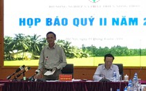 Cây 'siêu khủng' trót lọt qua nhiều tỉnh thành là bất thường