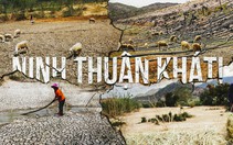 Ninh Thuận khát cháy ngay đầu mùa khô