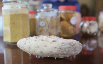 Đừng lạm dụng nghệ