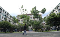 Ở chung cư, chỉ khi 'cháy nhà mới biết mặt hàng xóm'