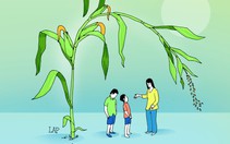 Khoảnh khắc thay đổi đời tôi: Giọt nước mắt trên rẫy bắp