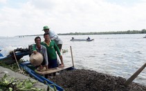 Đầy lo ngại trước siêu dự án ngăn mặn miền Tây