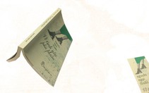 Vì tình yêu phù phiếm hay truyện của gã nhà văn Răng Nhọn viết ra