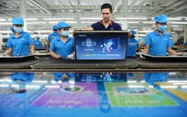 Người “chuyên trị” thị trường nông thôn