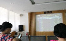 Kỷ lục mới trên sàn chứng khoán