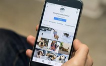 Instagram cập nhật tính năng gọi video