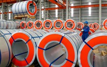 Công ty Cổ phần Tôn Đông Á - Kiên trì giữ vững giá trị tham chiếu ngành tôn