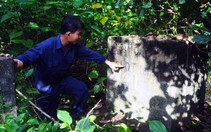Thúc tiến độ dự án sân bay Long Thành