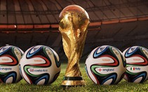 World Cup, tuyển sinh lớp 10... được tìm nhiều nhất
