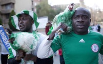Cổ động viên Nigeria bị cấm mang gà vào sân vận động World Cup 2018