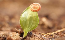 Khoảnh khắc thay đổi đời tôi: Vươn ra ánh sáng