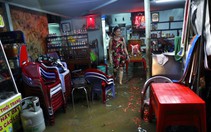 Mỗi hộ dân thiệt hại gần 13 triệu mỗi năm do ngập nước