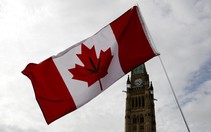 Thượng viện Canada phê chuẩn luật cho dùng cần sa tiêu khiển