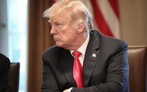 Ông Trump ‘giết’ luật nhập cư chỉ bằng một tweet
