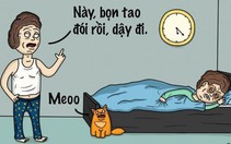 Bạn bình thường và bạn thân khác nhau thế nào?