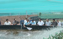 Đưa Việt Nam trở thành “thủ phủ” ngành tôm