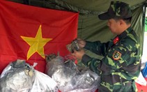 Phát hiện nhiều mộ liệt sĩ trong vườn nhà dân