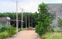 Đồng Nai thanh tra việc phân lô bán nền, xây dựng trái phép