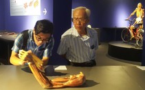 'Triển lãm bộ phận cơ thể người không vướng quy định pháp luật, nhưng...'