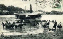 Đi ngược về những cái tên chợ Bà Hoa, Xóm Chiếu, Xóm Cải
