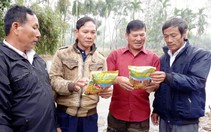 Những người tiên phong với lúa sạch
