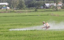 Giúp nông dân làm nông sản sạch