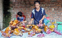 Tranh luận về ăn thịt chó: Nên hay không nên ăn? Ăn thì có sao?
