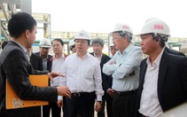 Tính toán cây trồng trên đất hoàn thổ dự án Alumin Nhân Cơ