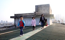 Yêu cầu kiểm tra vụ dân leo mái nhà tầng 10 để xuống đất