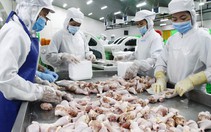Nhiều doanh nghiệp không dán tem truy xuất nguồn gốc gia cầm