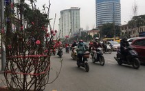 Tết nguyên đán trời sẽ đẹp, se lạnh, 'ủng hộ' du xuân