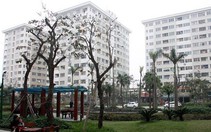 Những yếu tố tác động thị trường bất động sản 2019