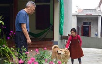 Đừng để con dâu 'khiếp vía' ngày tết