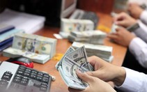 Từ 1/10, dừng cho vay ngoại tệ trung và dài hạn để nhập khẩu hàng hóa