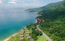 Kiến nghị điều tra việc 'băm nát' Sơn Trà