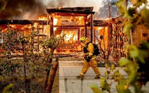 Cuộc di tản lịch sử 180.000 người ở California vì cháy rừng lan rộng