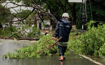 'Văn bản khẩn' Đà Nẵng cho học sinh nghỉ học do mưa bão là giả