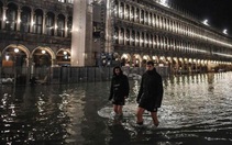 Venice đạt đỉnh triều trong 50 năm, người dân và du khách cùng khổ