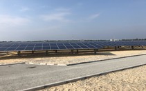GEC: Lợi nhuận trước thuế 9 tháng đạt 94% kế hoạch năm